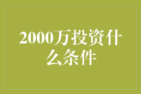 2000万投资什么条件