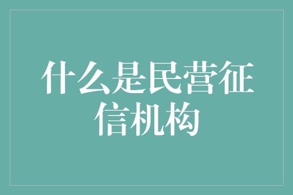 什么是民营征信机构