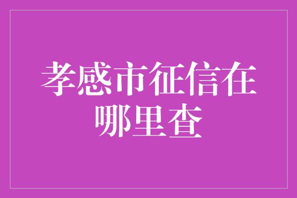 孝感市征信在哪里查