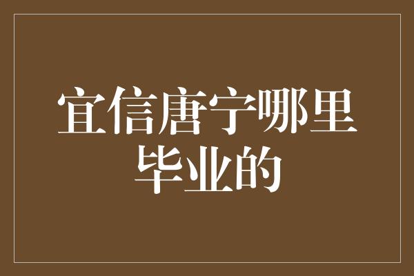 宜信唐宁哪里毕业的