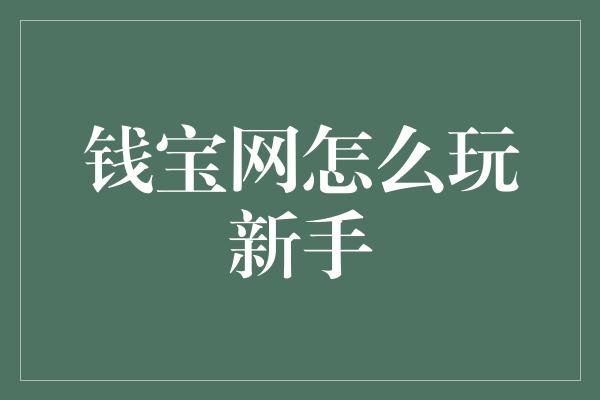 钱宝网怎么玩新手